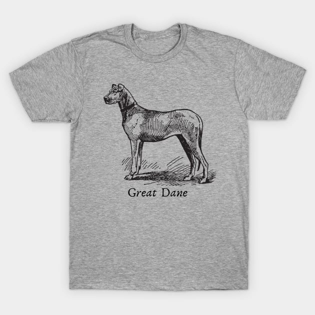 Great Dane Vintage Sketch T-Shirt by Handy Unicorn